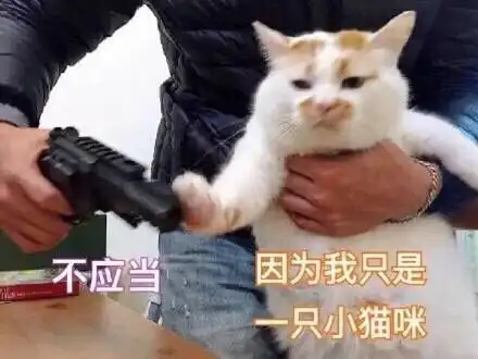 那个表情包小猫咪楼楼病危了呜呜呜希望楼楼平安
