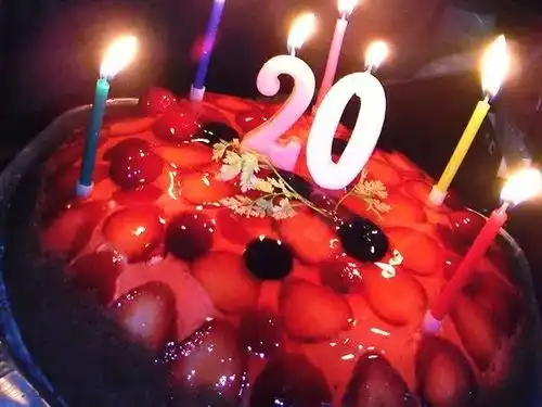 日本爸妈儿啊,20岁生日快乐该交房租了
