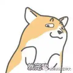 如何运用的素材写出一篇高分考场作文