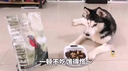 四川话爆笑配音这是大耳朵猫吗刷新了我的认知呀
