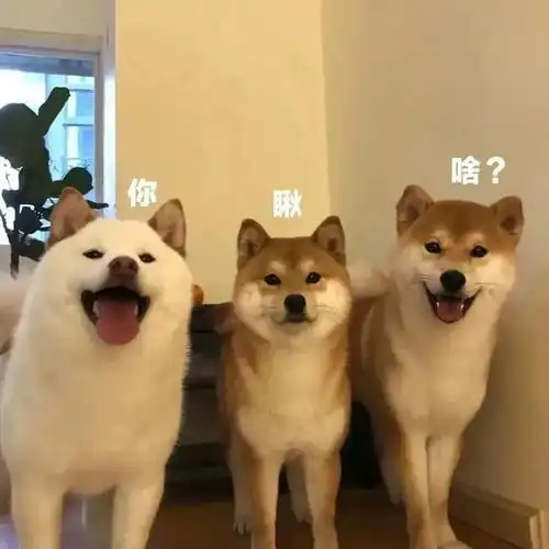 笑话段子最新幽默段子精选,一秒笑喷
