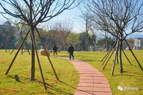 青口又添遛弯好地方家门口的口袋公园走起
