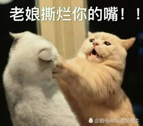 你的小奶狗突然不回消息了,赐几个表情包给他,让他知道姓啥