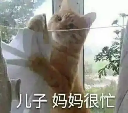 接住,大波猫咪表情包袭来...
