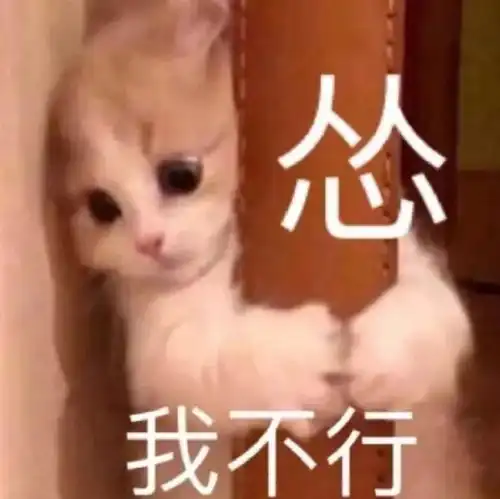 幽默搞笑表情包宝贝,出来玩呢
