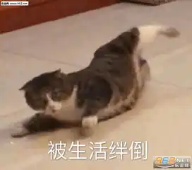 被生活绊倒表情包我对你只是逢场作戏洪世贤表情包下载乐游网游戏下载
