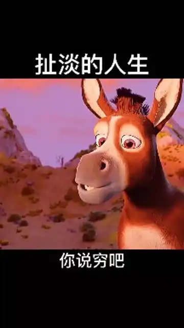 扯淡的人生
