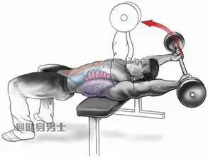最全腹肌训练图解,腹肌就该这么练
