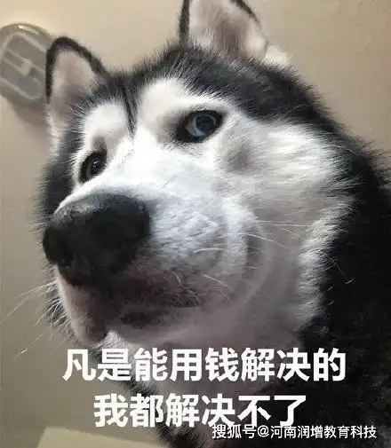 继西安电子科技大学网络教育2021春全国高起本停招后,又一所大学高起本停招

