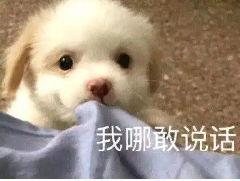 聊天必备的可爱表情包
