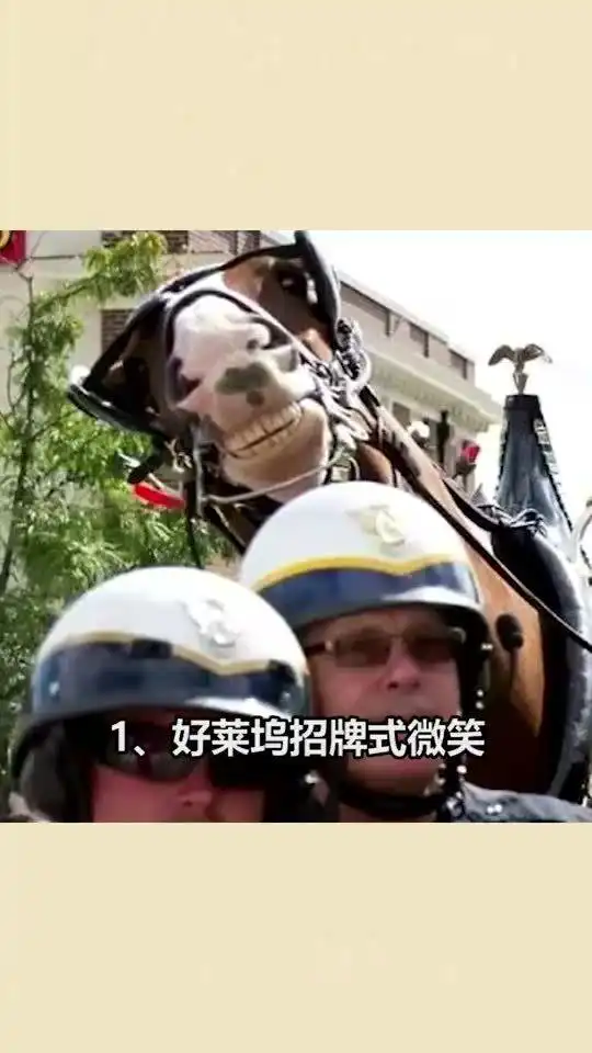 每天一点冷知识,让人哭笑不得的搞笑抢镜照片,看完真是笑出声