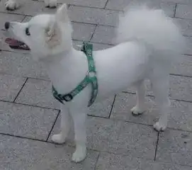 一首汗在飞,让我笑了一个暑假