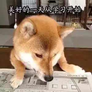 表情包丨我要学习了,不跟你们玩了
