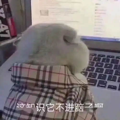 过了清明节,我就有钱花了段子
