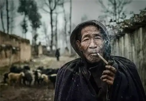 从100只到30只,到2只,最后剩1只,害死大凉山大熊猫的,是贫穷
