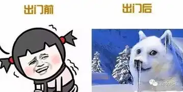 哈尔滨今晚或将迎来今冬第一场雪,气温低至3暖气不热5招教你解决
