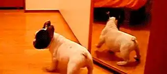 搞笑gif趣图女逗比系列,以为是个青铜,结果是个王者

