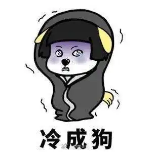 140杭州人注意,下午开始降温,今晚雨夹雪7级大风,明天出门就是冰箱流星雨

