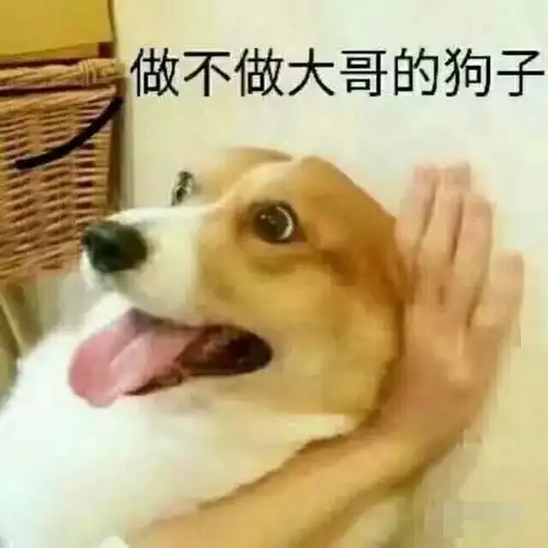 今日神段丨准岳母小伙子,你活儿怎么样如何答在线等

