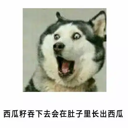 小时候的谎言
