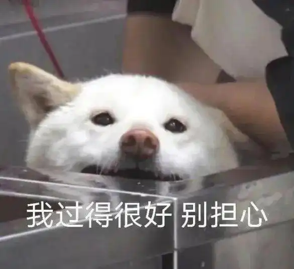 够猖狂我喜欢
