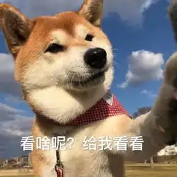 搞笑段子哥们,估计你要火了,你睡着的时候,大妈都和你自拍好几十回了
