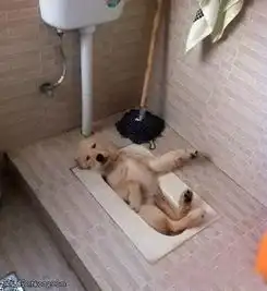 搞笑图片有钱人真尼玛任性,竟然用红酒洗澡
