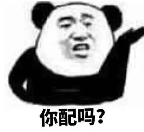 搞笑沙雕熊猫头表情包有人拼结婚吗老公是你的,彩礼是我的
