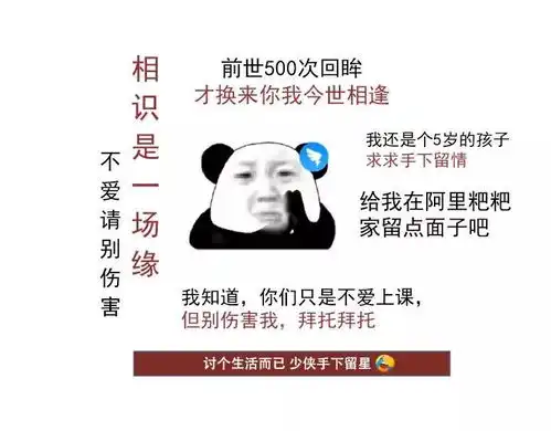 遭遇一星暴击,钉钉求饶了各位少侠,求放过
