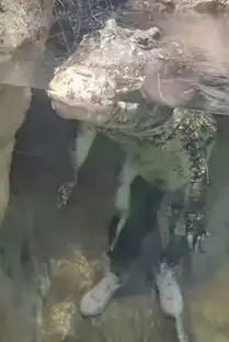 你现在活着到底是为了什么
