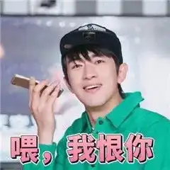 林更新我恨表情包图片最新林更新表情包我恨系列
