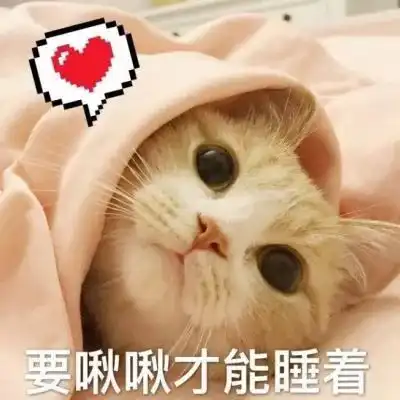 年度室友吐槽大会
