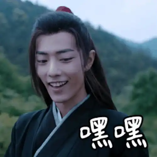 陈情令魏无羡无水印表情包
