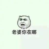 谢谢老婆表情包

