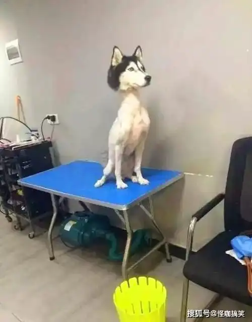 搞笑gif妹子你真的是在水里抓鱼吗
