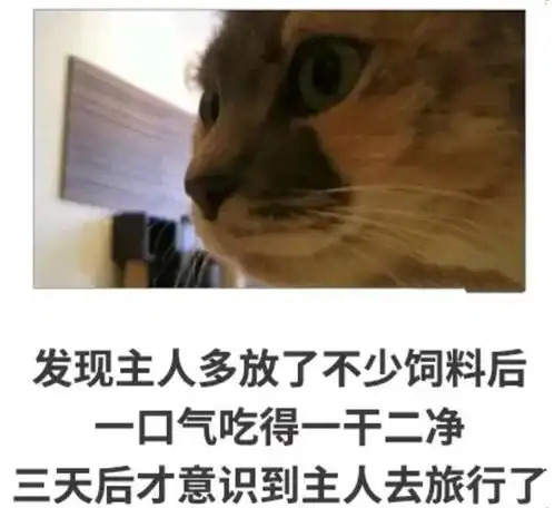 搞笑趣图当我喜欢的人看了我一眼,我的脑海里
