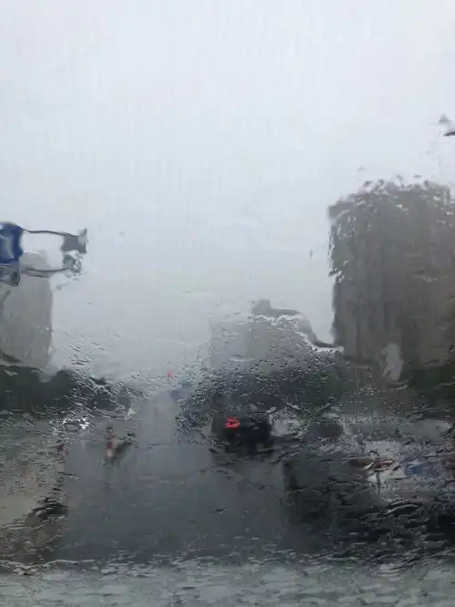 刚刚,狂风暴雨突袭衢城,市气象台发布大风黄色预警
