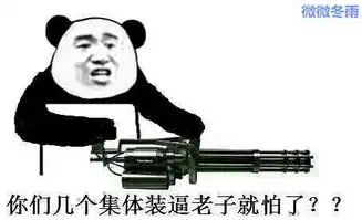 搞笑暴走图片带字持枪
