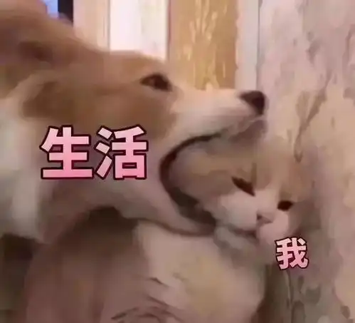 忆往昔用一个字总结2019
