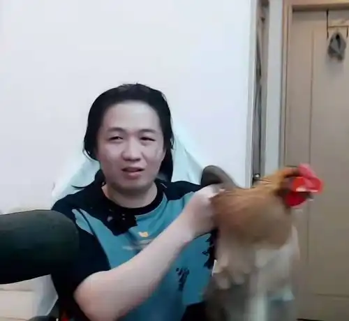 官方也玩土鸡梗,吕德华生日直播被搞,网友笑死了
