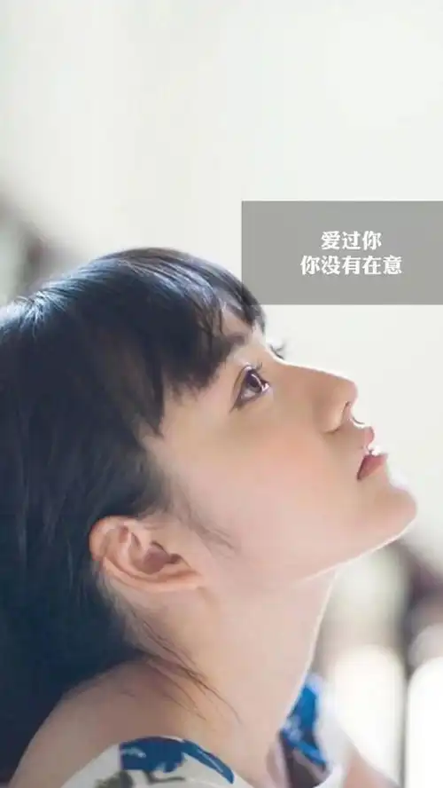 今日壁纸8.13
