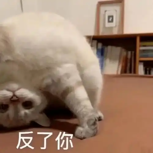 不回消息的博文导师原来正在动物餐厅拉客
