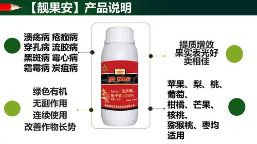 靓果安江西茂谷柑溃疡病防冻害用药