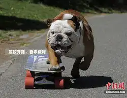 生活小常识2
