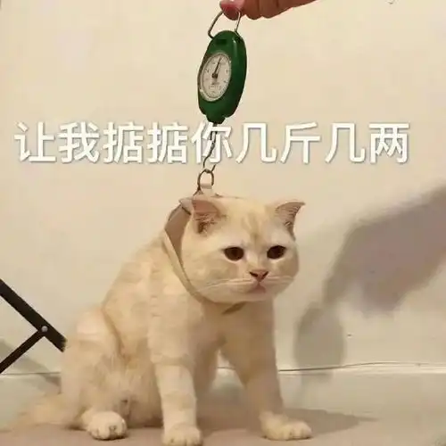 沙雕搞笑表情包对象又没有干饭总得行吧
