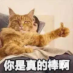 我不在家,我家猫约会了三个女朋友
