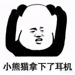 表情包合集小熊猫摘下了耳机
