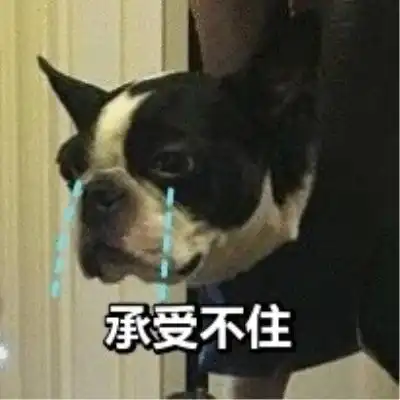 狗子讨厌剪指甲,主人就用包把狗挂起来剪网友这办法绝了
