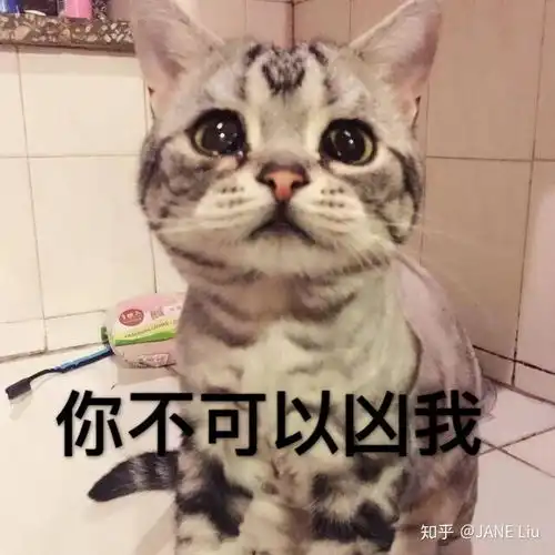 可怜表情包图片委屈