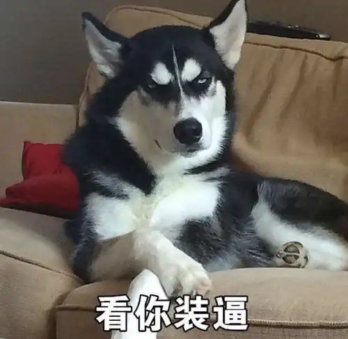 1收藏夹
